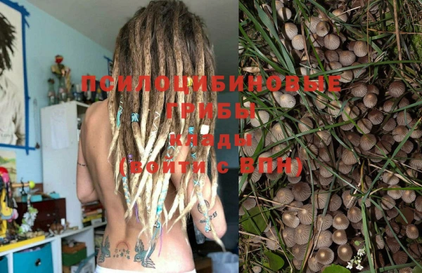 мяу мяу кристалл Надым