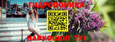 прущие грибы Славянск-на-Кубани