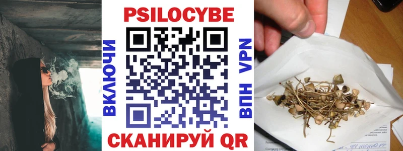 Псилоцибиновые грибы MAGIC MUSHROOMS  продажа наркотиков  shop телеграм  Армавир 