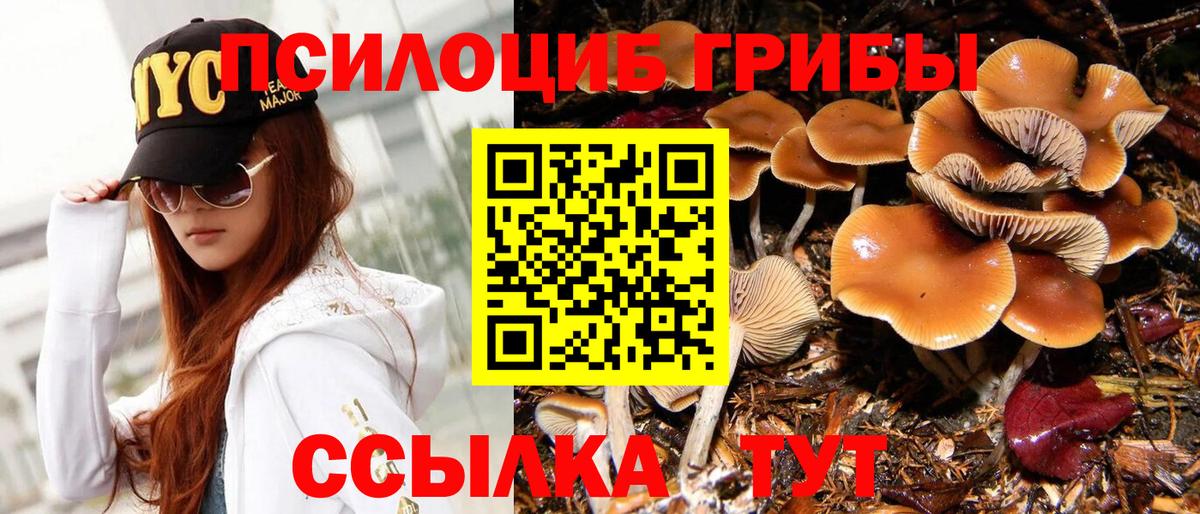 Псилоцибиновые грибы MAGIC MUSHROOMS  Вход с VPN  Армавир  наркошоп  Галлюциногенные грибы Psilocybe 